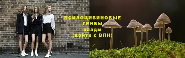 PSILOCYBIN Абаза