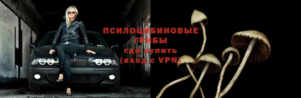 хмурый Алексеевка
