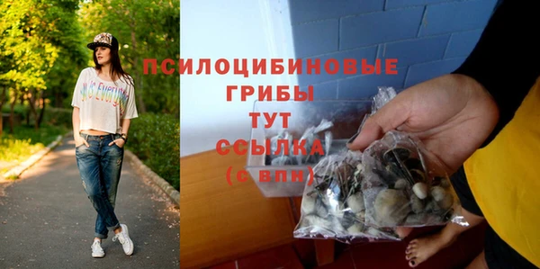 хмурый Алексеевка
